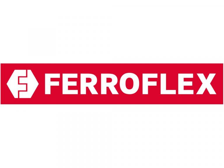 FERROFLEX AG