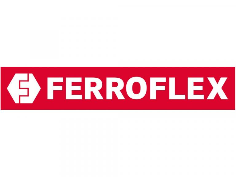FERROFLEX AG
