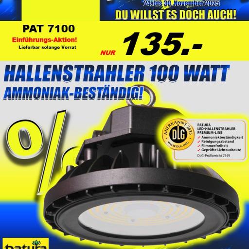 Black Friday 2025 - PATURA Hallenstrahler 100W