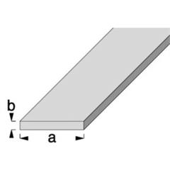 ALU Flachprofil 30 x 2mm, eloxiert F1 farblos, Normprofile, L=1 Meter,  Leichtmetall (ALU) Flachprofile - Hofer Mühlethurnen GmbH