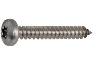 Blechschrauben Linsenkopf mit Spitze verzinkt Torx 10 2.9 x 6,5mm - ENG
