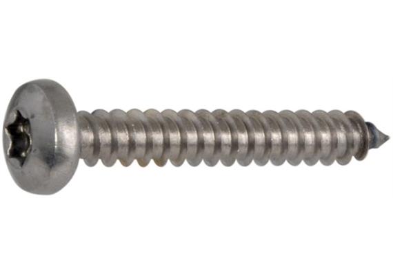 Blechschrauben Linsenkopf mit Spitze verzinkt Torx 15 3,9 x 16mm - ENG0