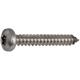 Blechschrauben Linsenkopf mit Spitze verzinkt Torx 30 Ø 6,3 x 25mm