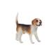 Bullyland Beagle Hund Henry 62 x 30 x 62 mm Spielfigur von Hand bemalt