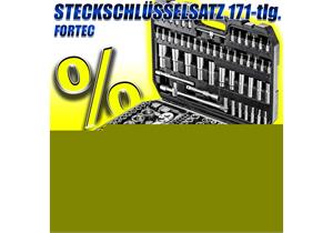 FORTEC AKTION ECO Steckschlüsselsatz 1/4" + 3/8" + 1/2", 171-tlg. FT30046
