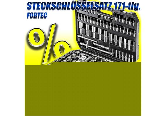 FORTEC AKTION ECO Steckschlüsselsatz 1/4" + 3/8" + 1/2", 171-tlg. FT30046