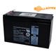 GALLAGHER Akku Ersatz-Batterie 12V 7.2 AH für S100/S200/S400