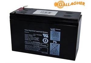 GALLAGHER Akku Ersatz-Batterie 12V 7.2 AH für S100/S200/S400