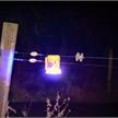 Gallagher Foxlight - Schutz vor Nachtraubtieren, 9-LED blinken zur Abschreckung | Bild 5