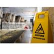 Gummirollenbelag Breite 1,2m Thermo8 Rollenmatte 8mm rutschsich - Stallgang, Anhängerböden - 011 | Bild 4