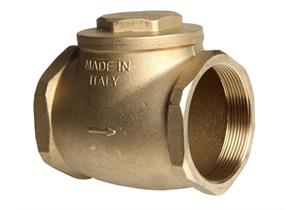 Klappventil - Rückschlagventil mit Klappe Innengewinde 2" max.16 bar