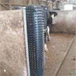 Kratzmatte für Kühe - Scratchy schützt Pfosten und Betonecken B=50cm x H=150cm - GRU | Bild 4