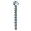 MULTI-MONTI-plus P Beton PanHead T-Drive 6 x30 (Ø 4/6.8mm) TX 30 znb 54278