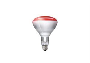 Philips Wärmelampe Infrarot BR125 250 W E27 - 263