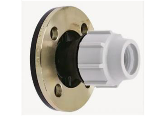 PLASSON Anschlussverschraubung mit Flansch Ø 75 mm x 65 mm (2 1/2") - 046