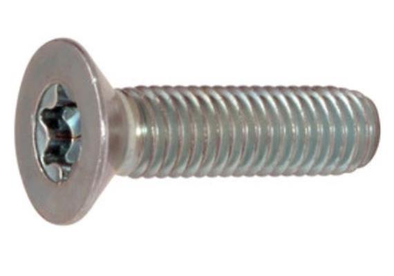 Senkschrauben Torx 25 verzinkt 8.8 M5 x 20