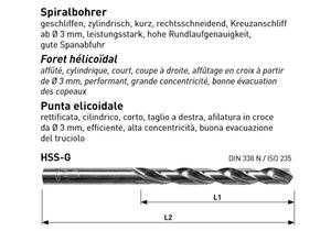 Spiralbohrer HSS - G DIN 338 - N geschliffen Ø 10 L 133mm