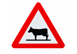 STEINEMANN Warnschild Aluminium 600mm Signal Tiere (Kuh) 1.25K Reflexionsklasse R2 - 039
