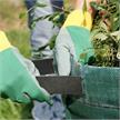 TEGUM Planto Gartensammler 285L 69 x 77 cm Gartensack Laubsack aus PP / PE | Bild 2
