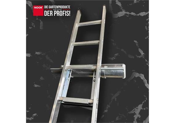 TEGUM TeguSafe Noor Leiterkopfsicherung oben universal - 594