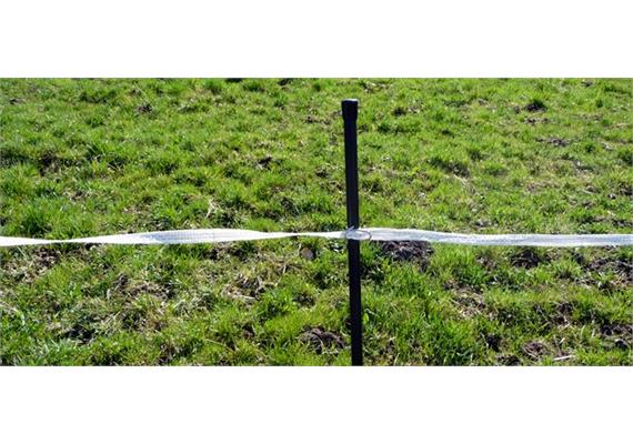 Zaunpfahl "Eichmann" Ø 6mm 1.2m - AKTION - HOF